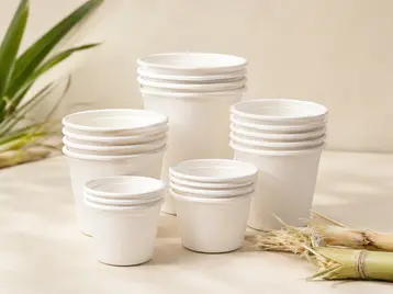 Bagasse Cups