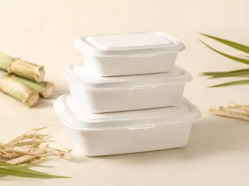 Bagasse Food Containers