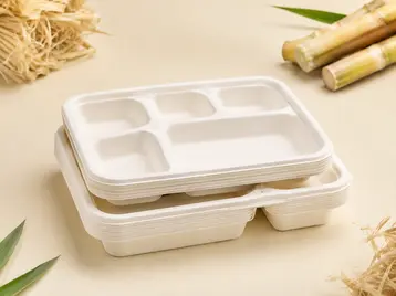 Bagasse Meal Trays