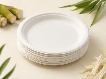 Bagasse Plates
