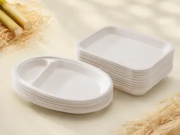 Custom Food Service Tray - Bagasse Molded Fiber