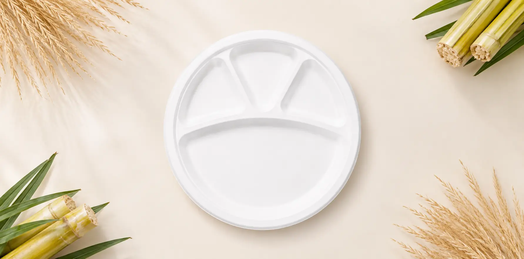 Compartment plates made from bagasse fiber