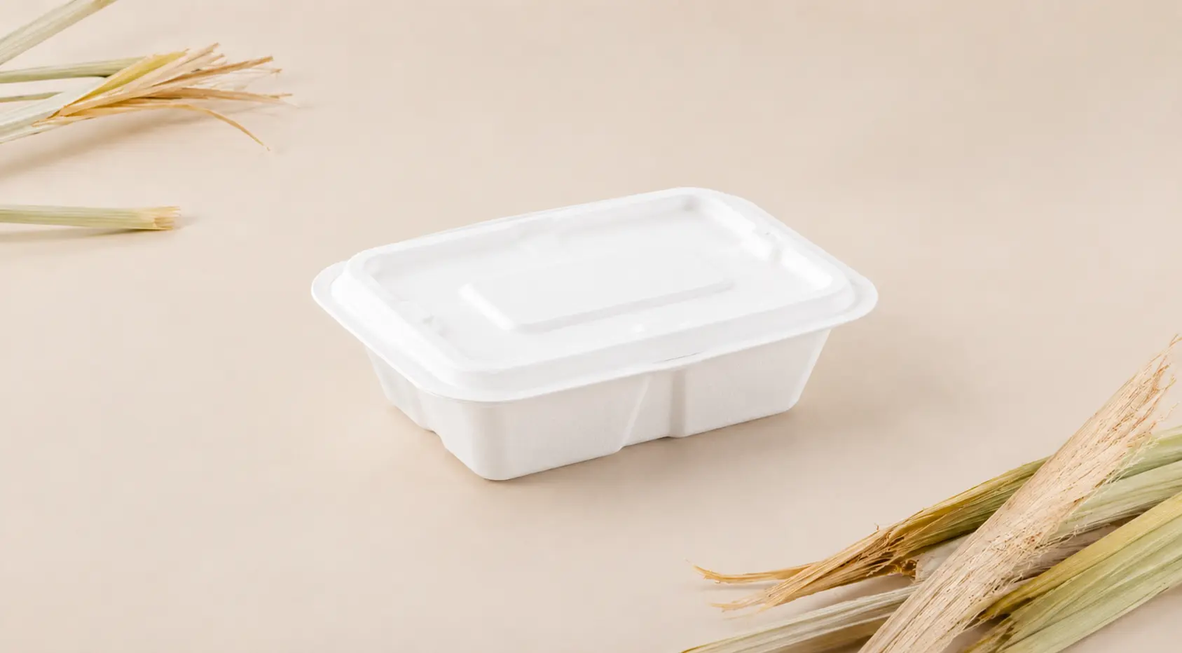 500ml rectangular bagasse food container