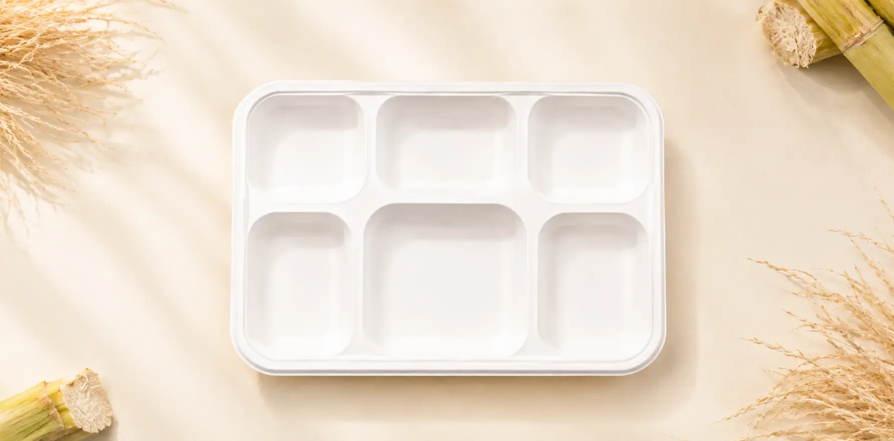 Meal trays made from bagasse fiber