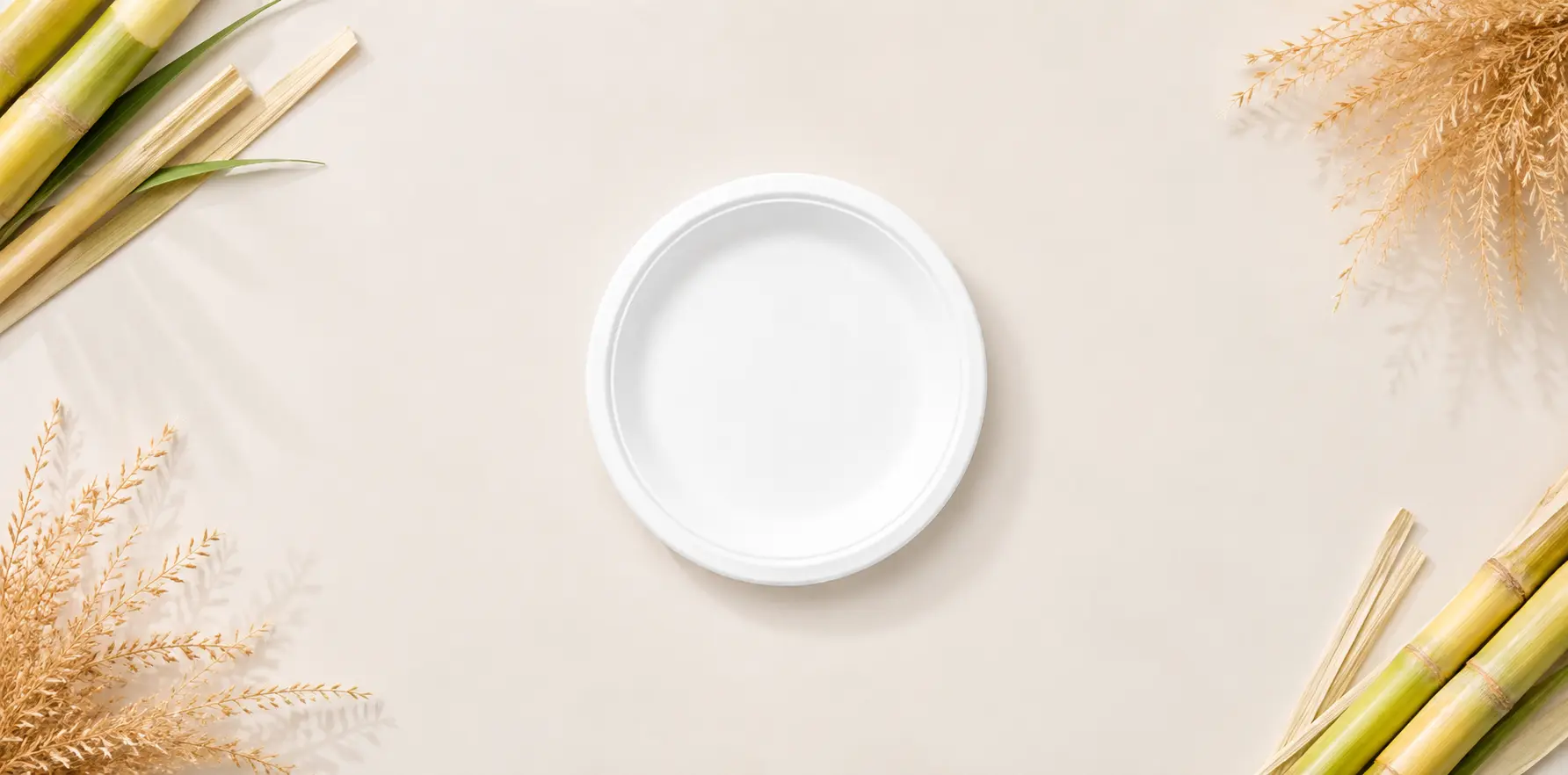 6 Inch Bagasse Plate - Appetizer & Dessert Size